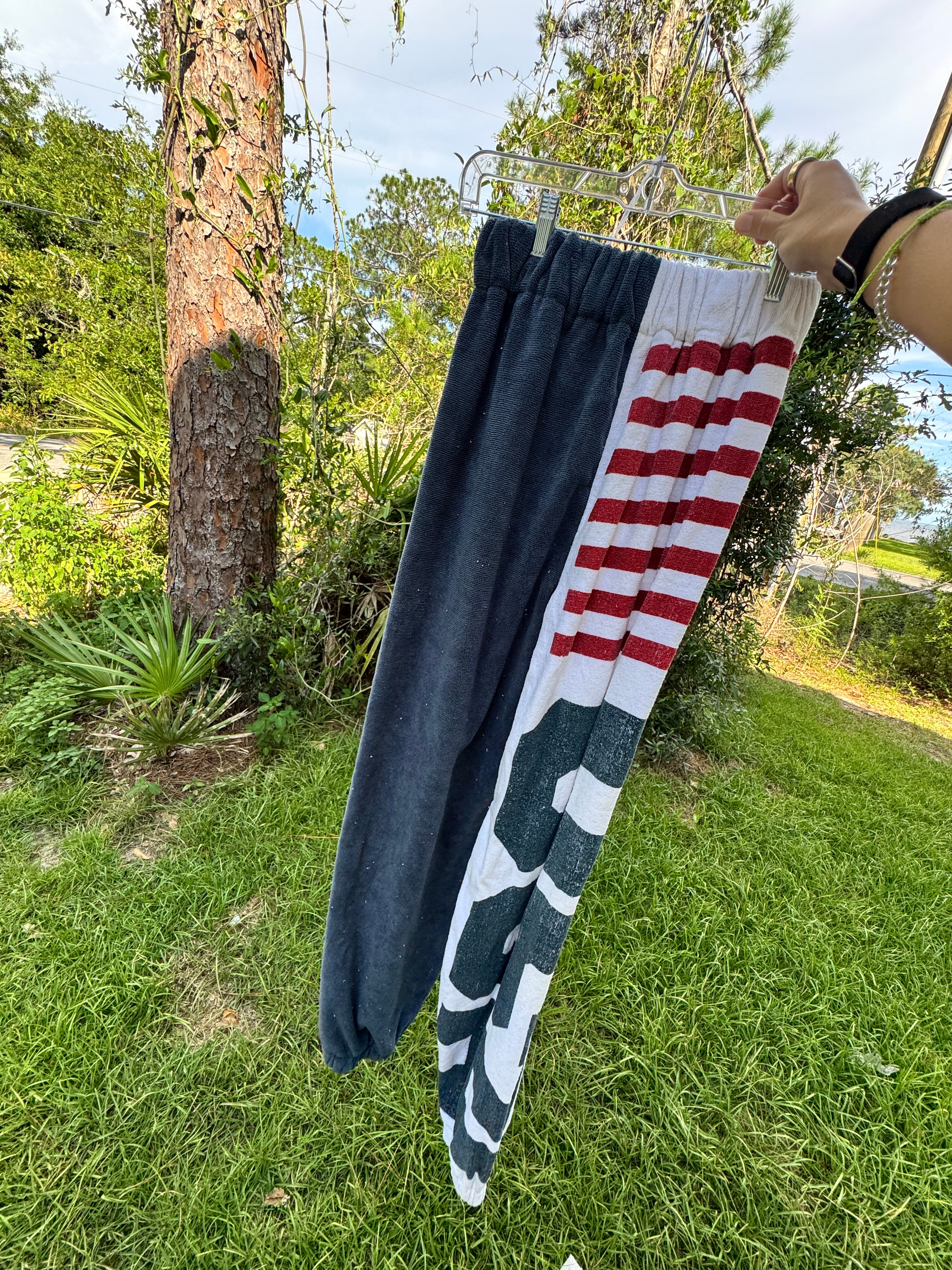 Team USA pants - S
